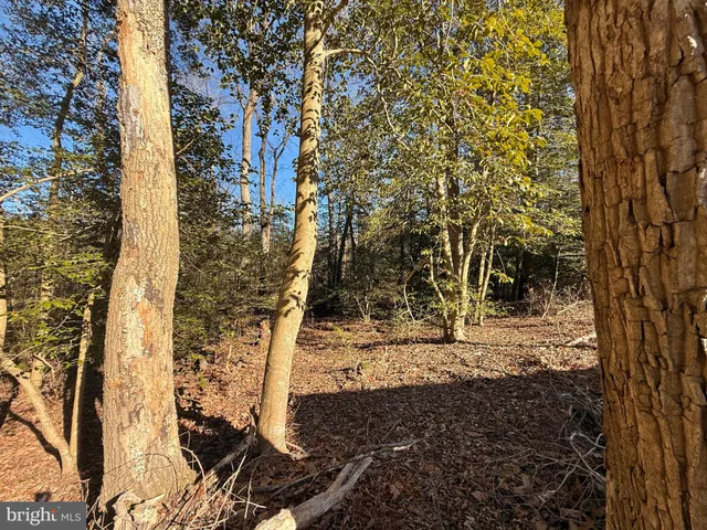 a view of kitchen with cabinets