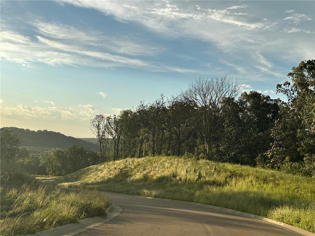 Xxx Meadow Crossing Road Southwest Rochester, MN 55902 - Photo 3 of 5