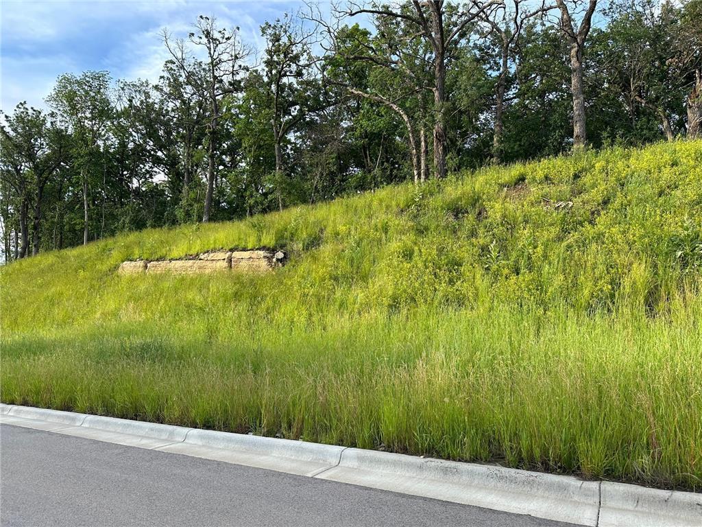 Xxx Meadow Crossing Road Southwest Rochester, MN 55902 - Photo 4 of 5