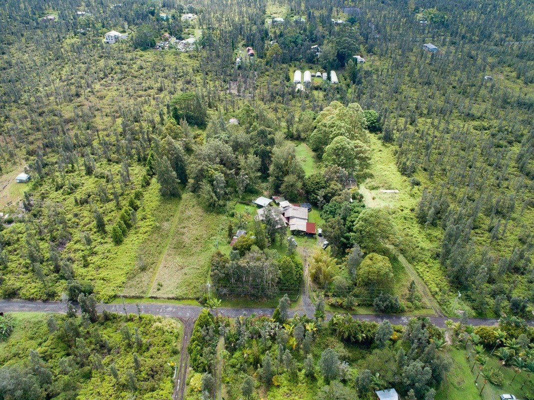 a view of a garden