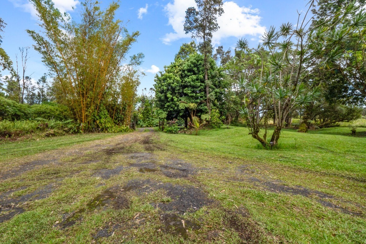 16-2006 Uhini Ana Road Mountain View, HI 96771 - Photo 5 of 25 a view of outdoor space with trees all around