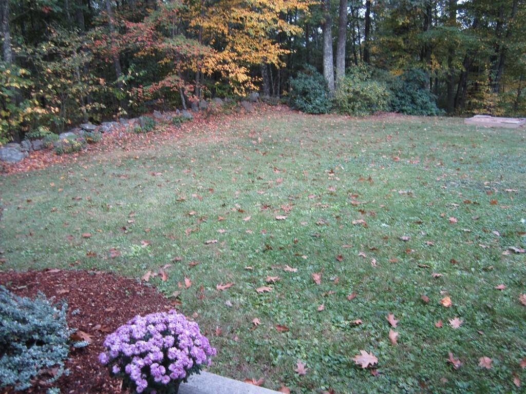 139 East Charlton Road Spencer, MA 01562 - Photo 11 of 12 Gallery Image 11