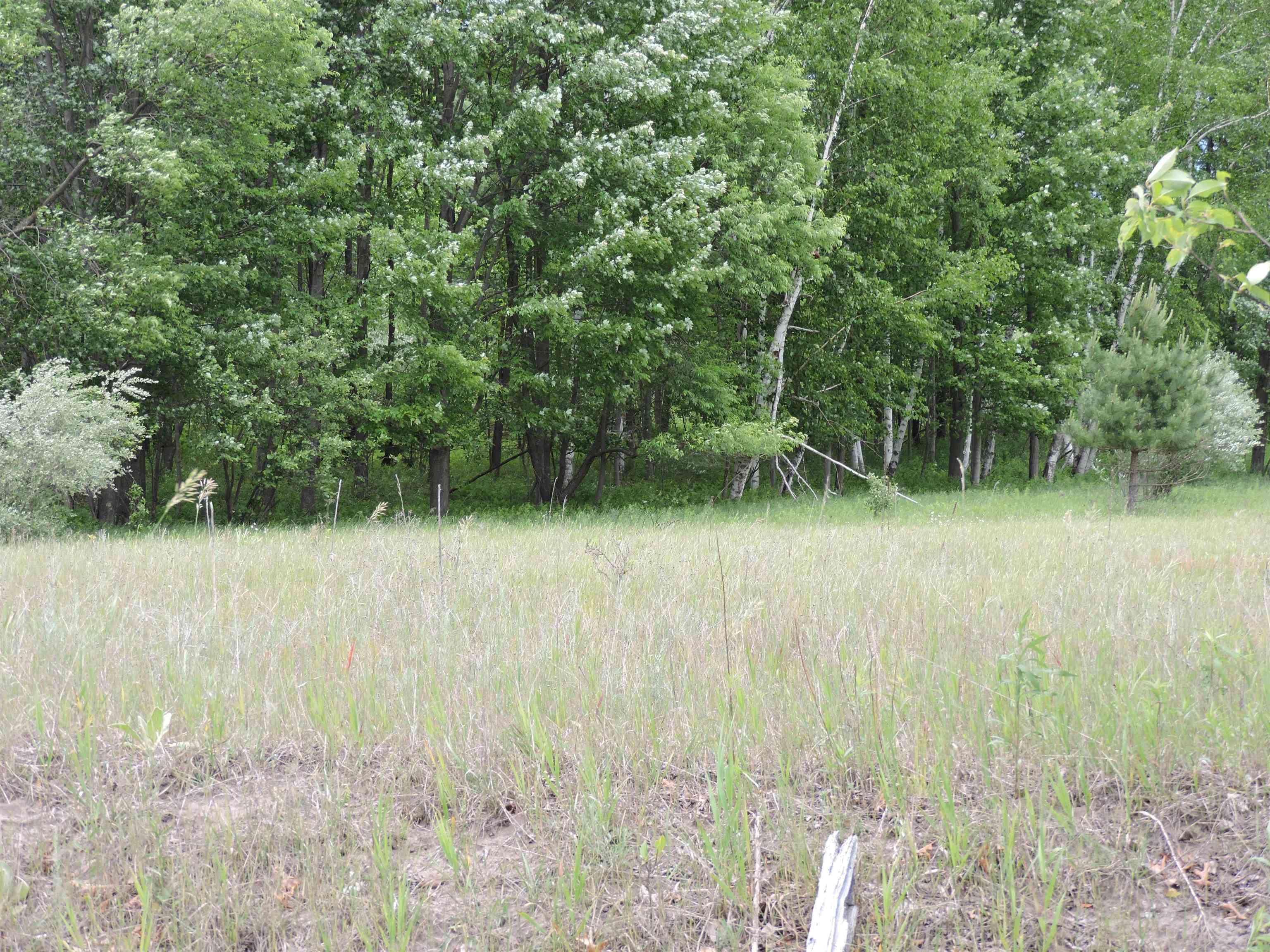 6686 Keystone Road Turner, MI 48765 - Photo 23 of 30
