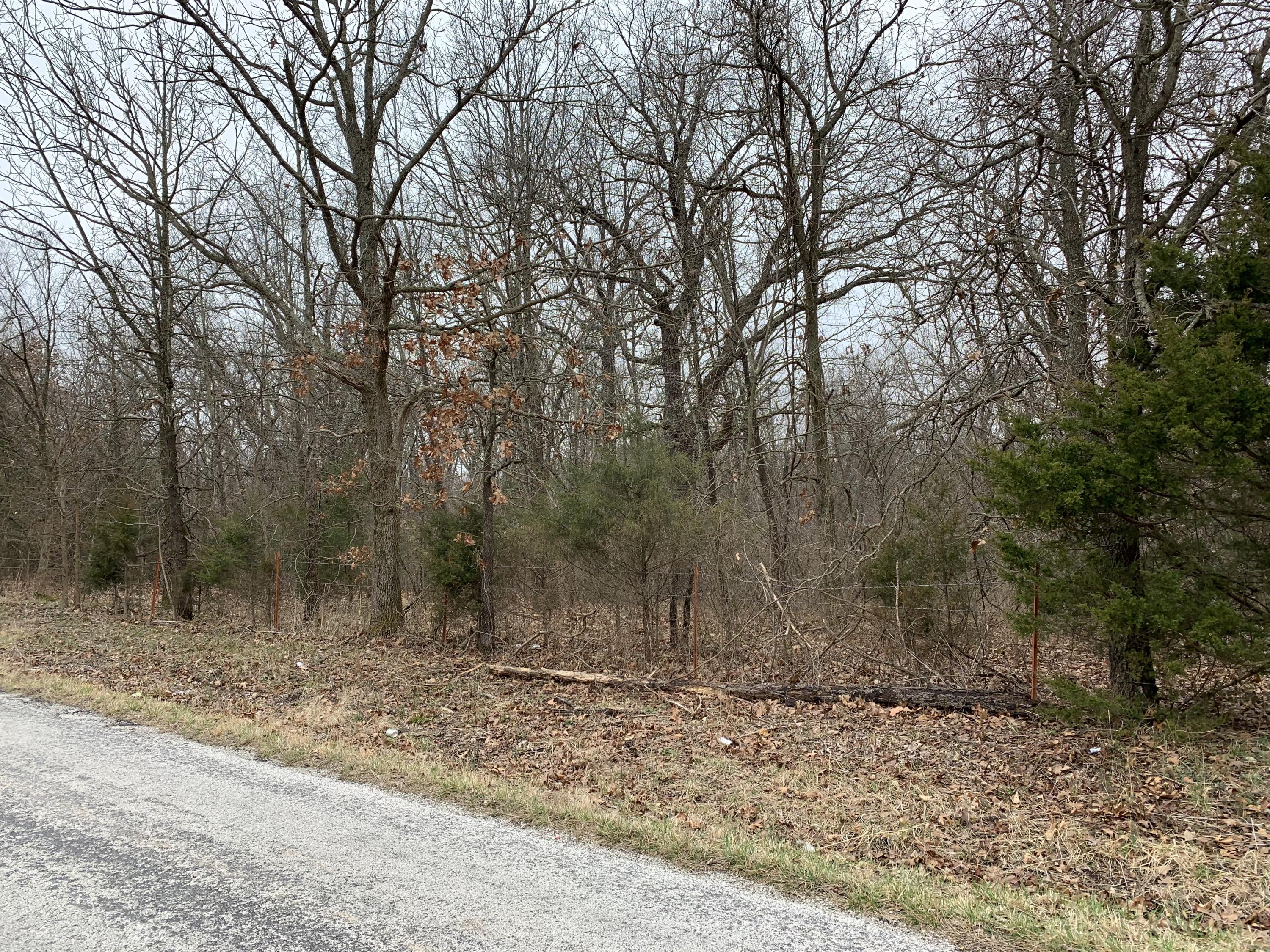0 Carver Road Neosho, MO 64850 - Photo 1 of 1 0760ABC9-33E3-45D5-B7FD-27398036FBA6