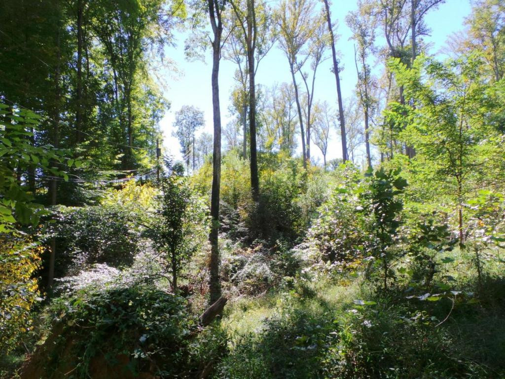 Lot 7 Rustic Way Kingsport, TN 37664 - Photo 3 of 10 Photo 3