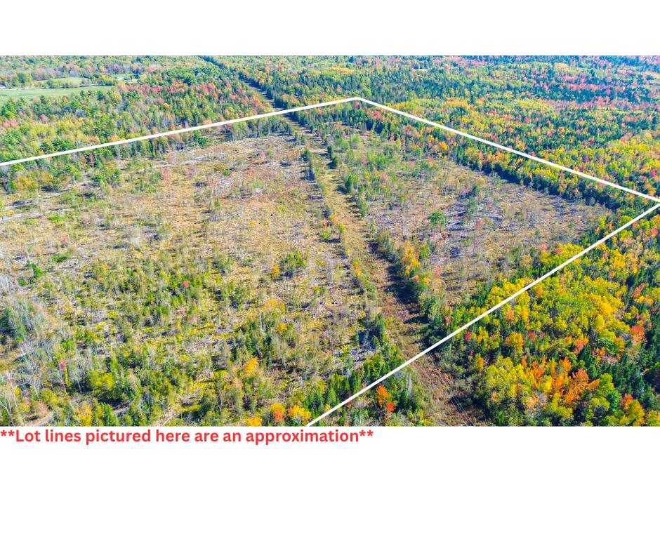 Tbd West Etna Road Etna, ME 04434 - Photo 3 of 9 Lot lines pictured here are an approxima