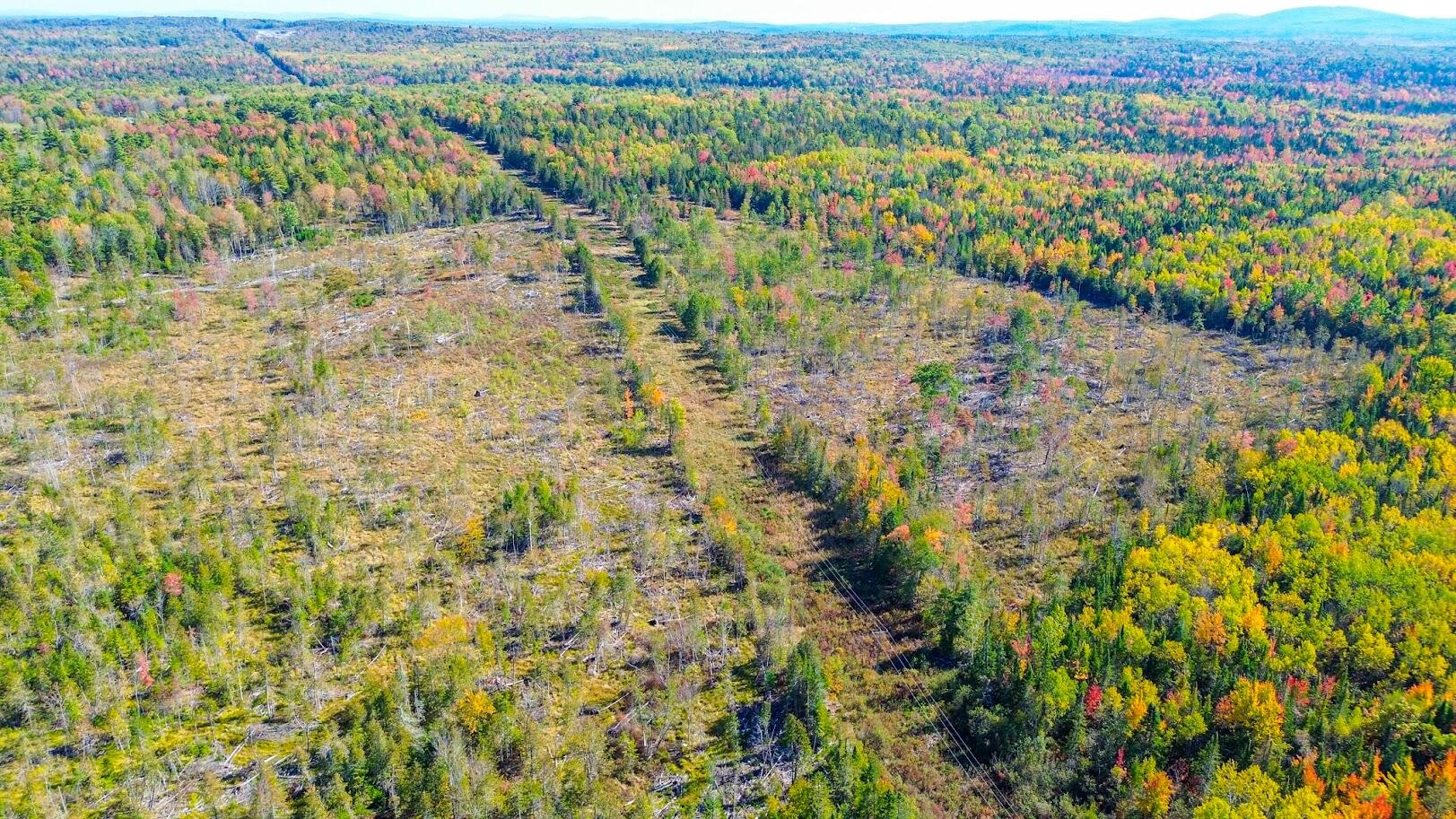Tbd West Etna Road Etna, ME 04434 - Photo 4 of 9 DJI_0818