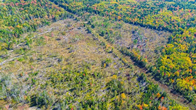 $65,000 | Tbd West Etna Road, Etna, ME 04434