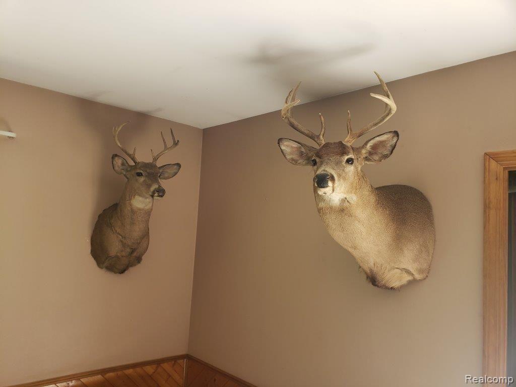 4486 Millis Road North Branch, MI 48461 - Photo 21 of 68 Deer Taken on Property (2)