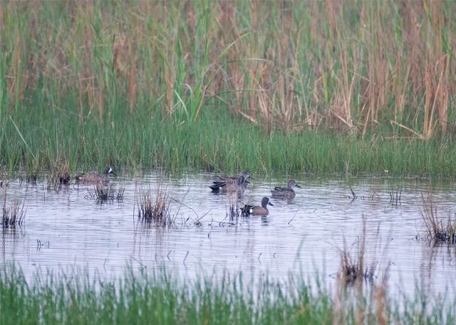 $3,600,000 | 13458 County Road 210, Danbury, TX 77534