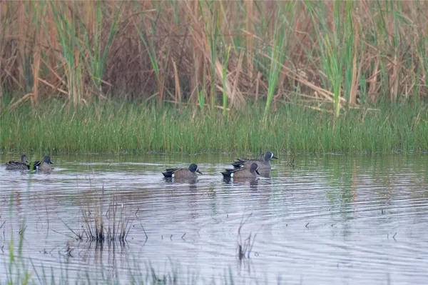 a view of a lake view