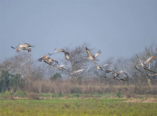 a view of a room with equipment