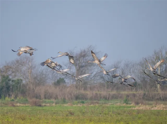 $3,600,000 | 13458 County Road 210, Danbury, TX 77534