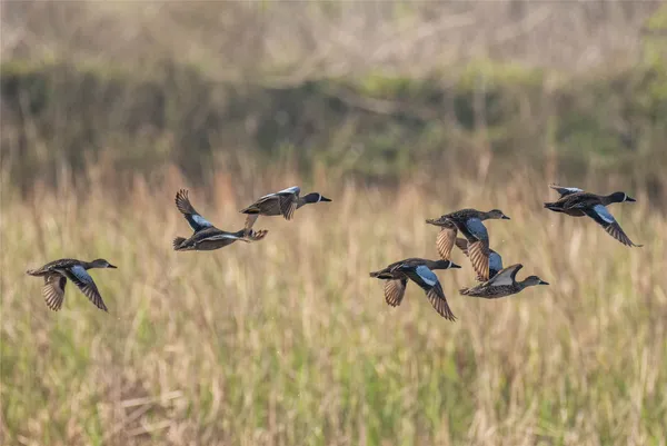 a view of a water pond