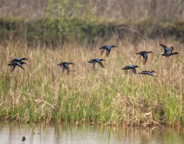 $3,600,000 | 13458 County Road 210, Danbury, TX 77534