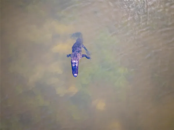 a view of an ocean and beach