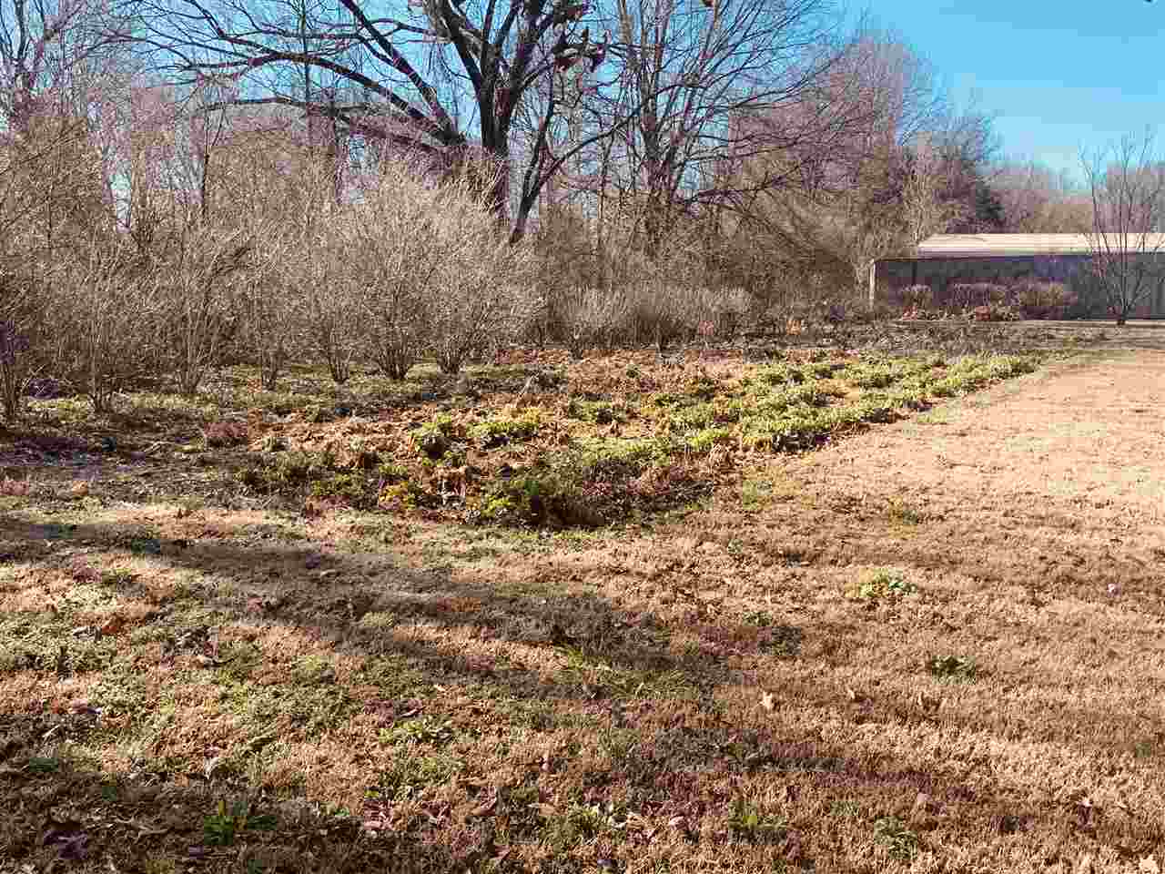 4317 Sykes Road Millington, TN 38053 - Photo 2 of 22 Gallery Image 2