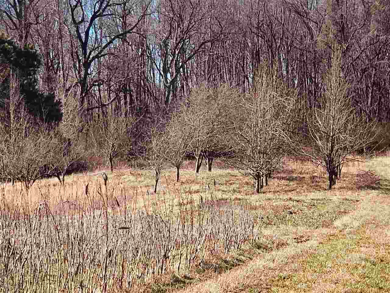 4317 Sykes Road Millington, TN 38053 - Photo 3 of 22 Gallery Image 3