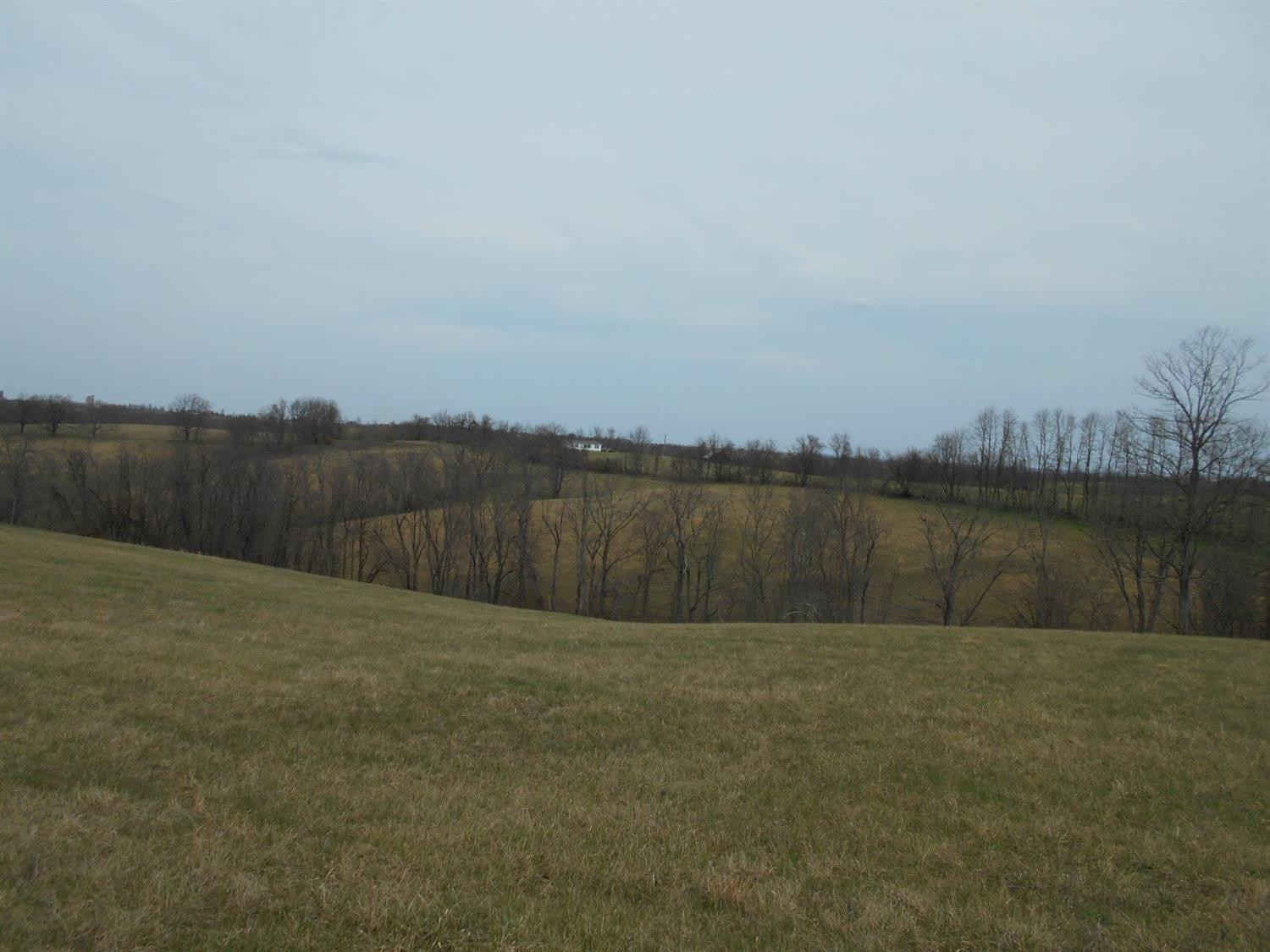 999 North Convict Road Sharpsburg, KY 40374 - Photo 3 of 9 Photo 3