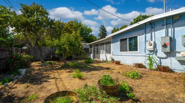 a view of a backyard with plants and tree