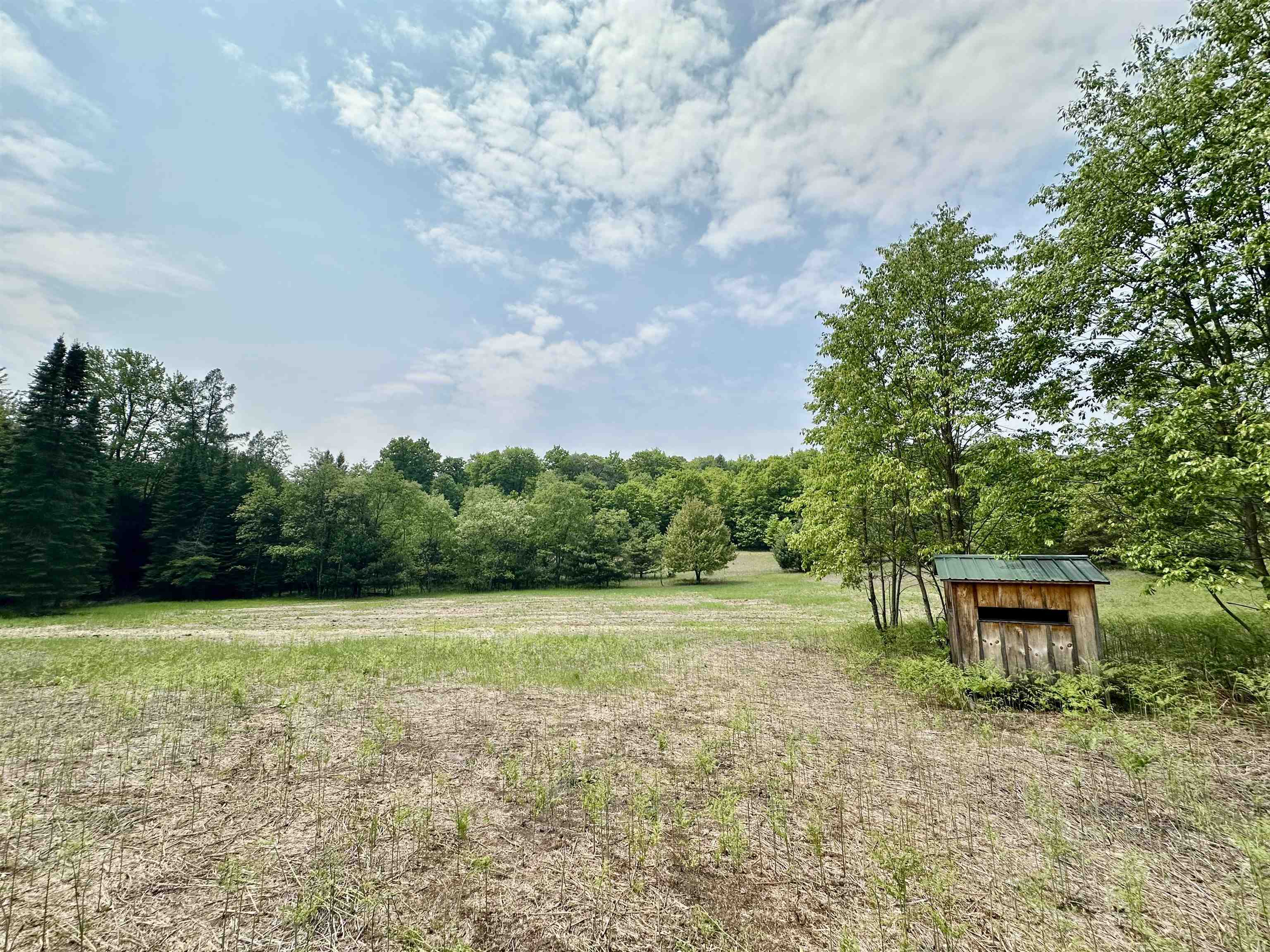 90-acres East Otto Road Suttons Bay, MI 49682 - Photo 21 of 68 Gallery Image 21