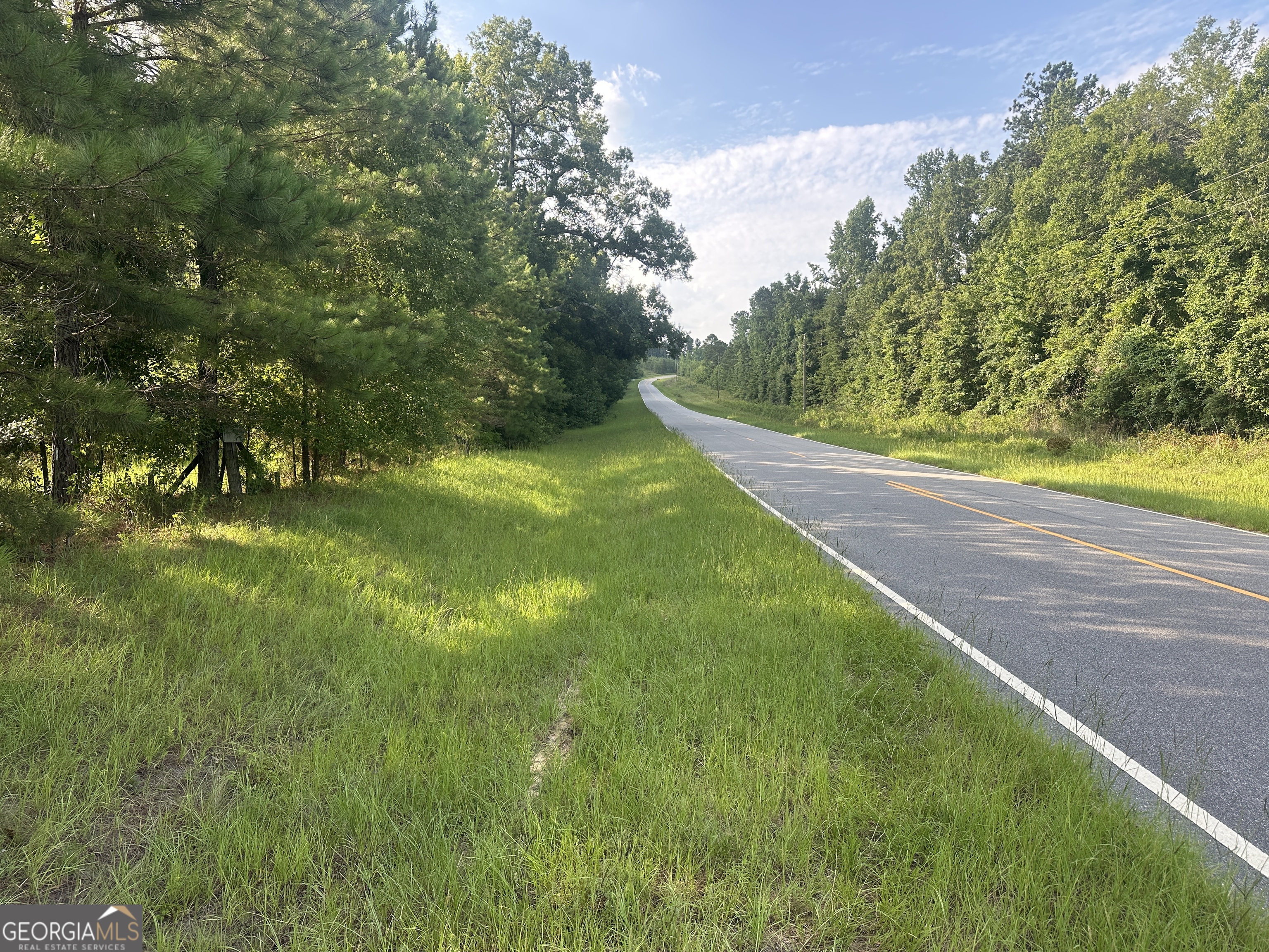 900 Habersham Church Road Waynesboro, GA 30830 - Photo 2 of 7
