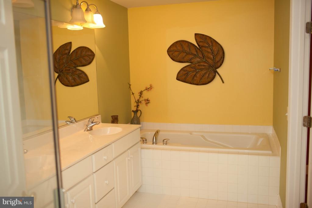 9263 Laurel Ridge Crossing Road Lorton, VA 22079 - Photo 19 of 27 Bath