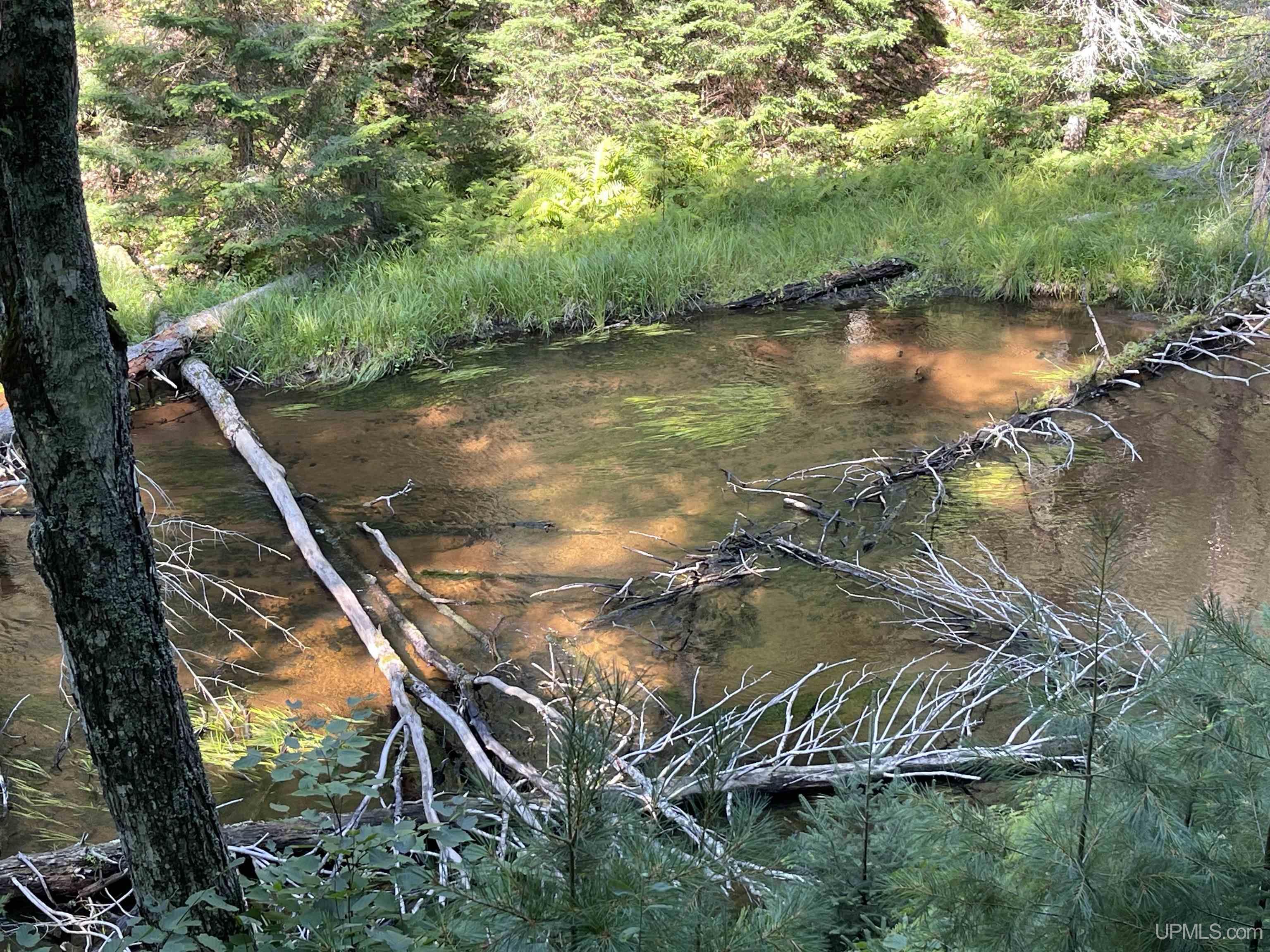 Tbd Sunken Lake Road Seney, MI 49883 - Photo 2 of 47 Gallery Image 2