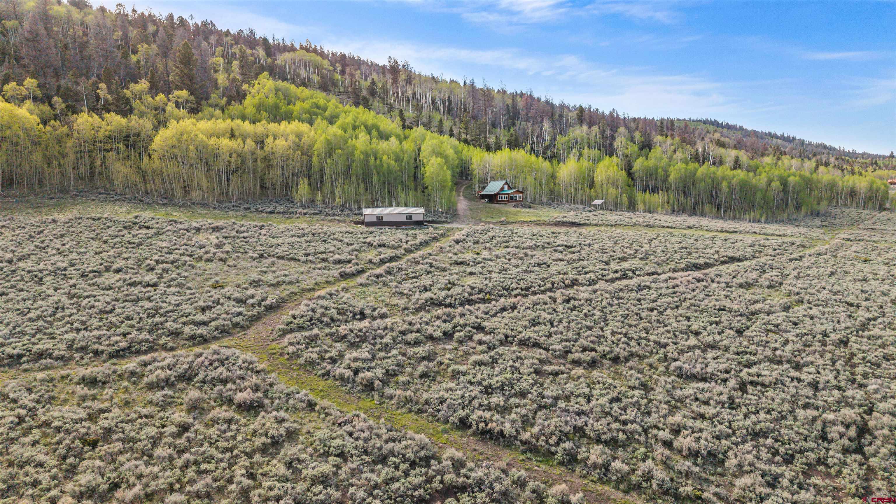 1901 Armitage Springs Road Powderhorn, CO 81243 - Photo 34 of 38 Gallery Image 34