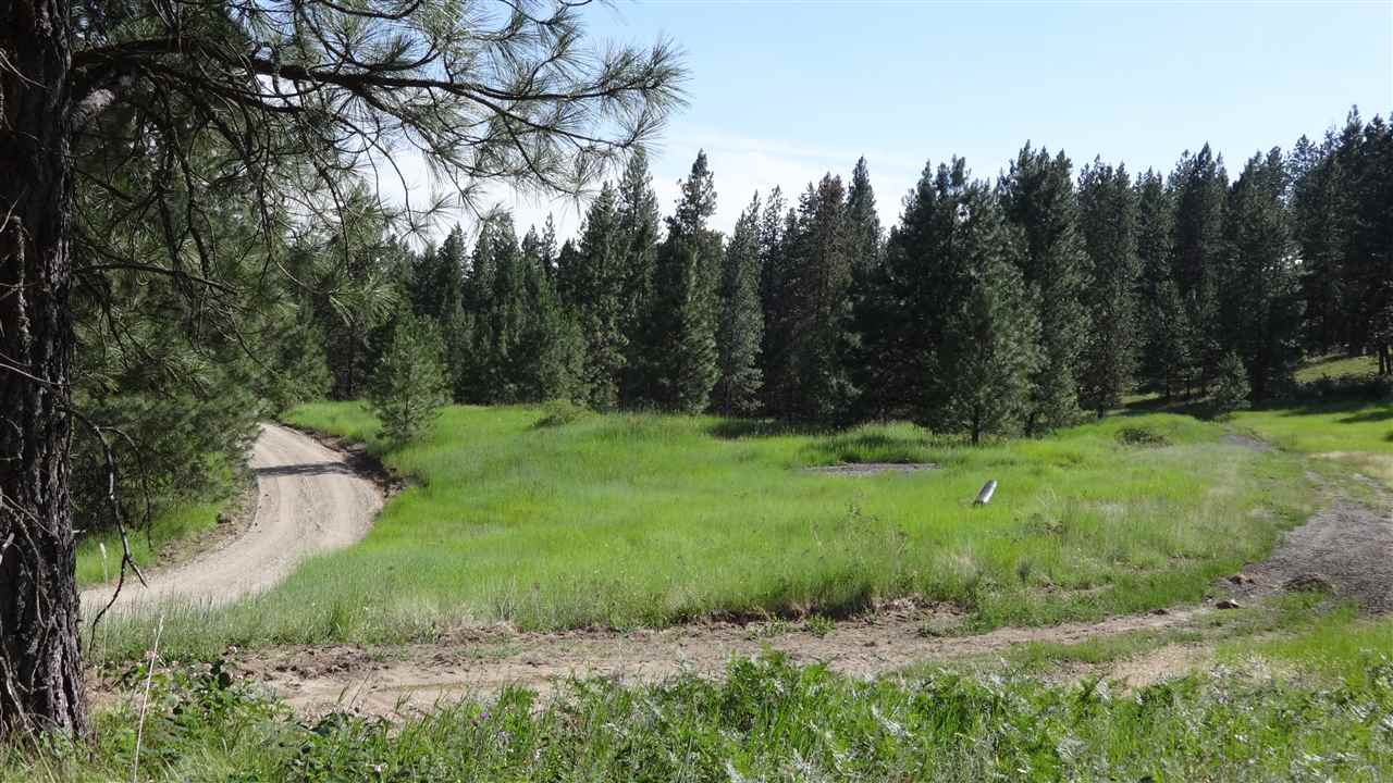 204-xx North Feehan Road Mead, WA 99021 - Photo 14 of 16
