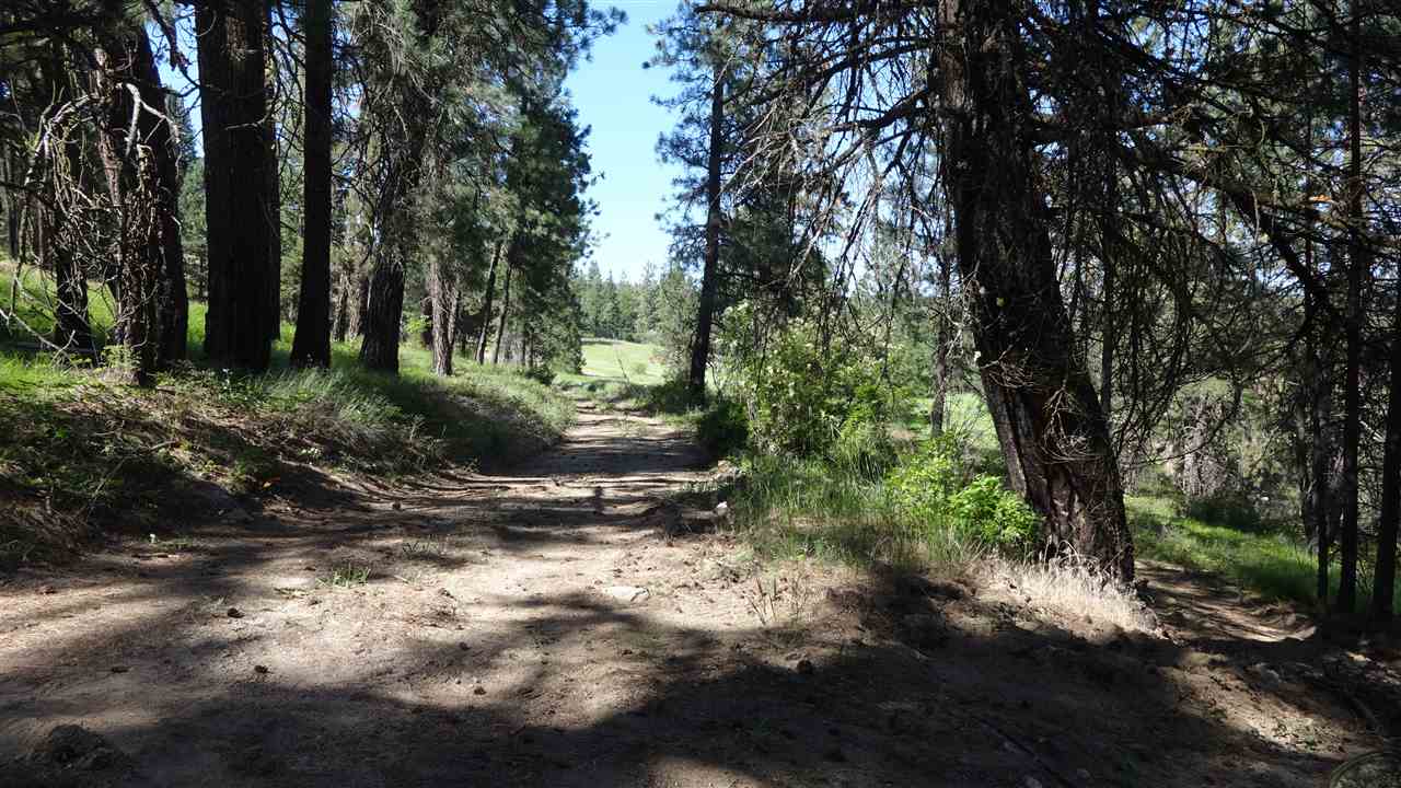 204-xx North Feehan Road Mead, WA 99021 - Photo 3 of 16