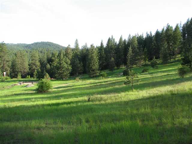 204-xx North Feehan Road Mead, WA 99021 - Photo 4 of 16
