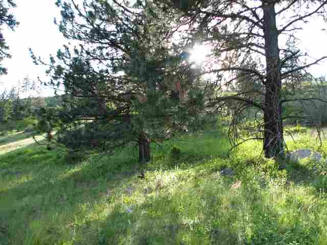 204-xx North Feehan Road Mead, WA 99021 - Photo 8 of 16
