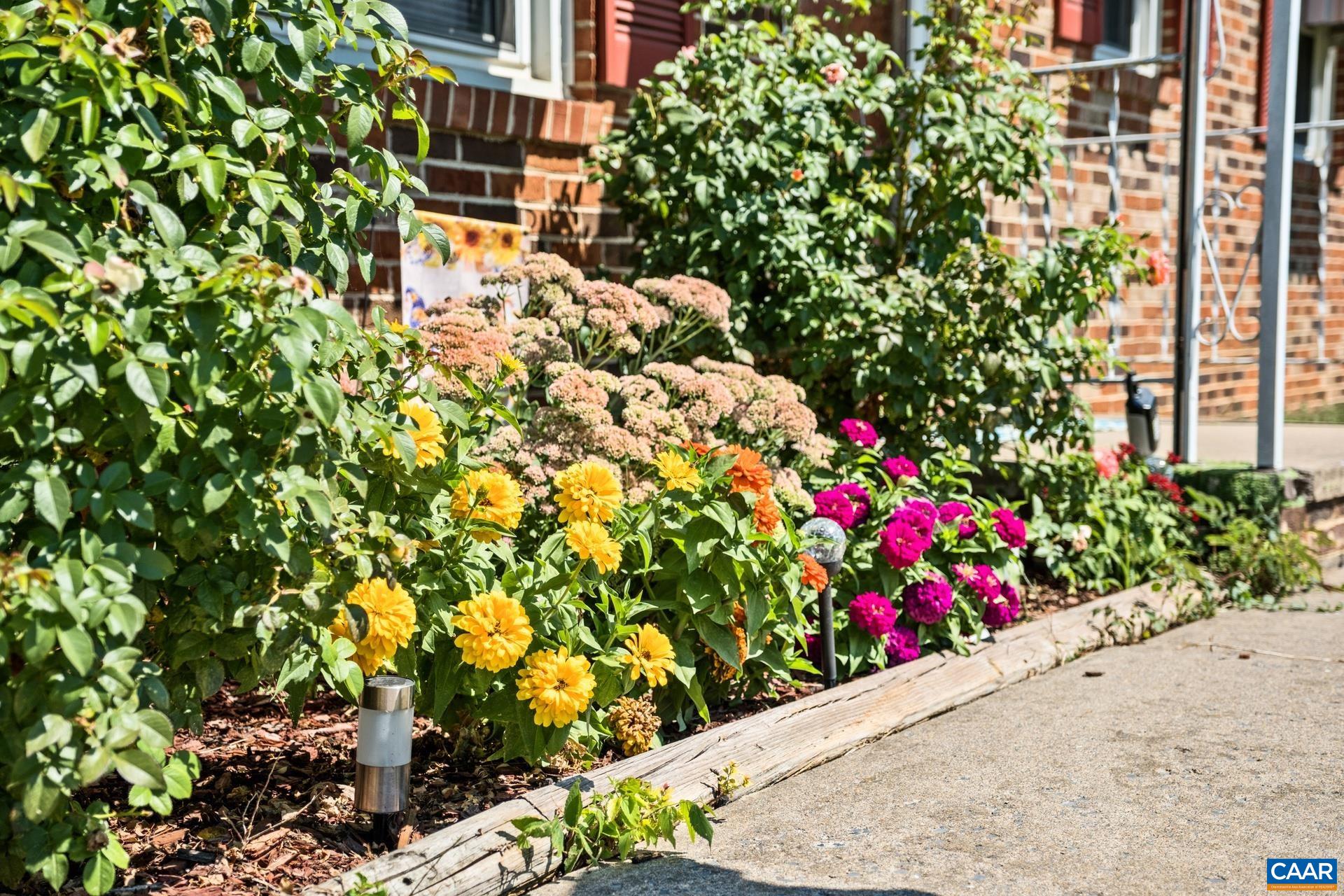 182 Clinton Street Harrisonburg, VA 22802 - Photo 3 of 21 a picture of flowers