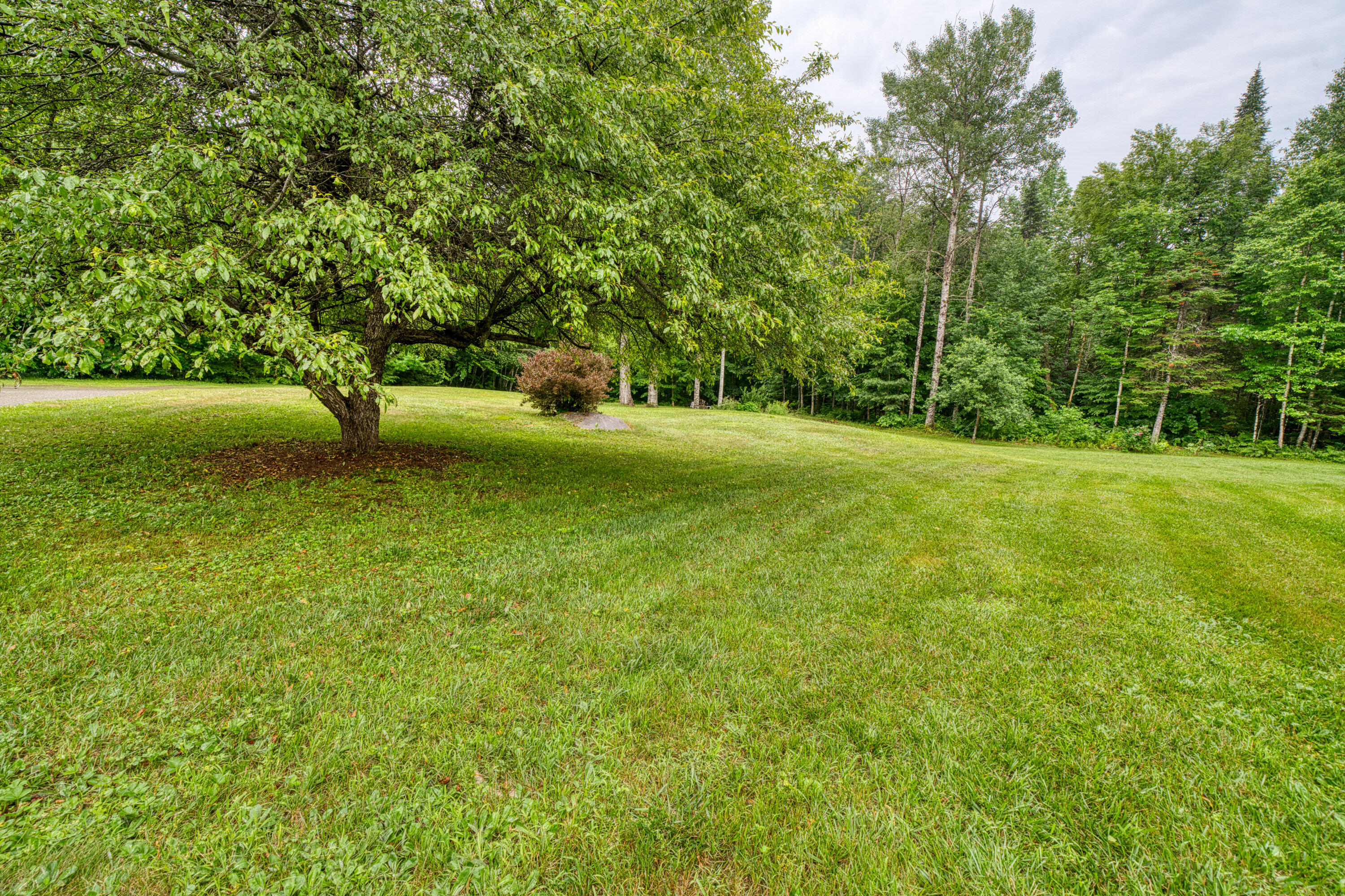 100 Dill Road Levant, ME 04456 - Photo 61 of 64 6941