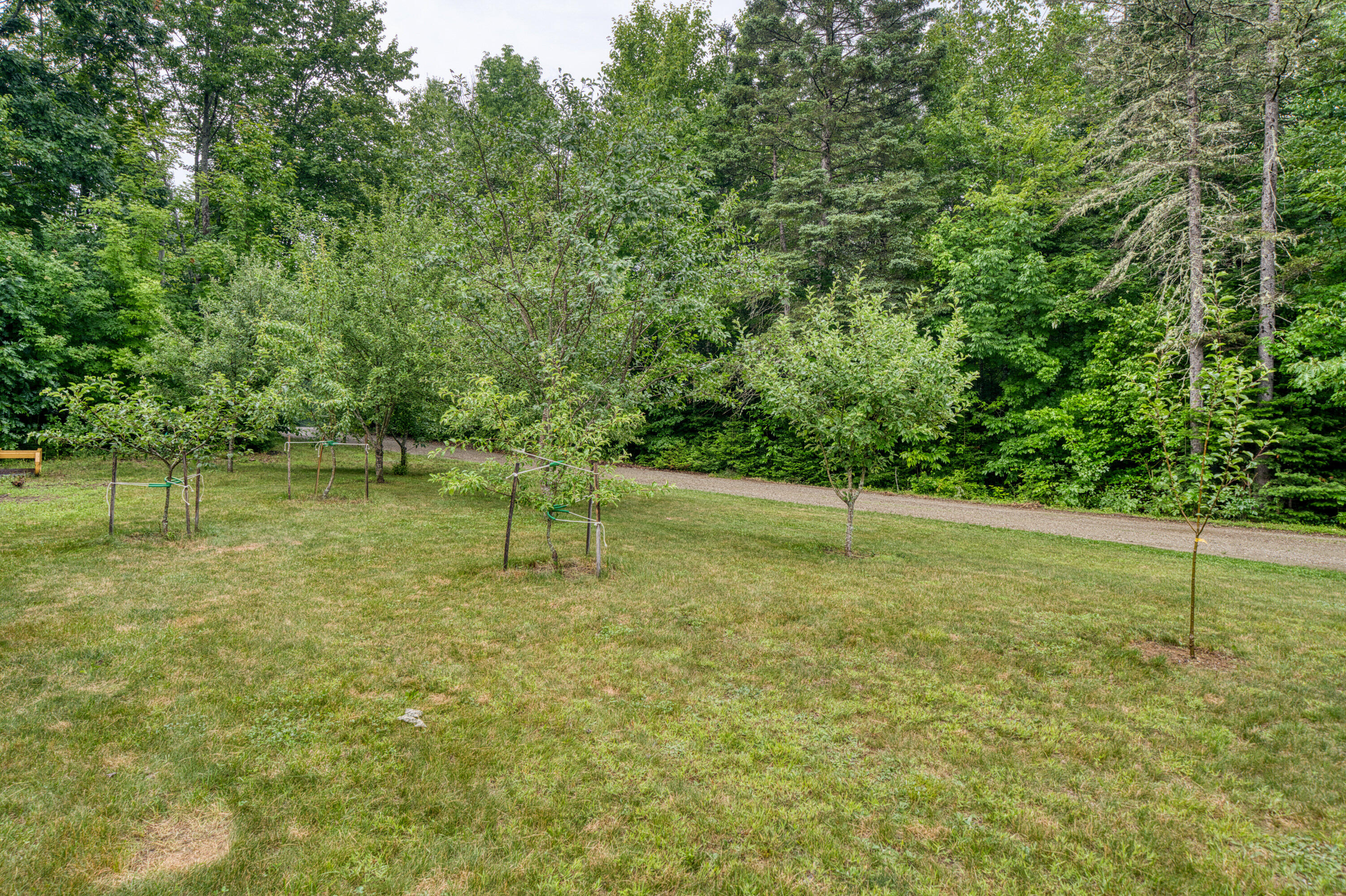 100 Dill Road Levant, ME 04456 - Photo 64 of 65 6951