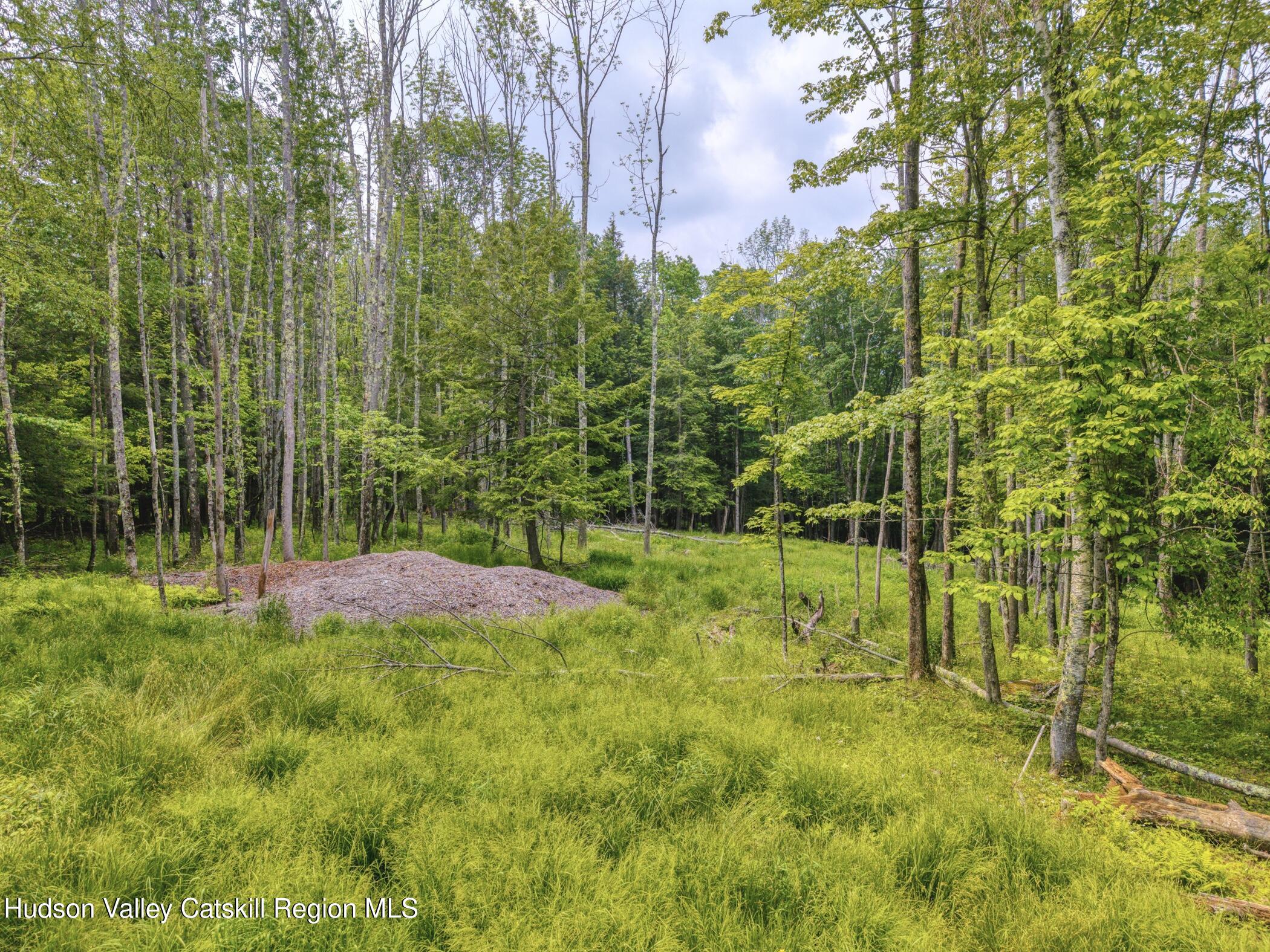 Tbd Boulder Brook Road Windham, NY 12496 - Photo 12 of 44 Image-72