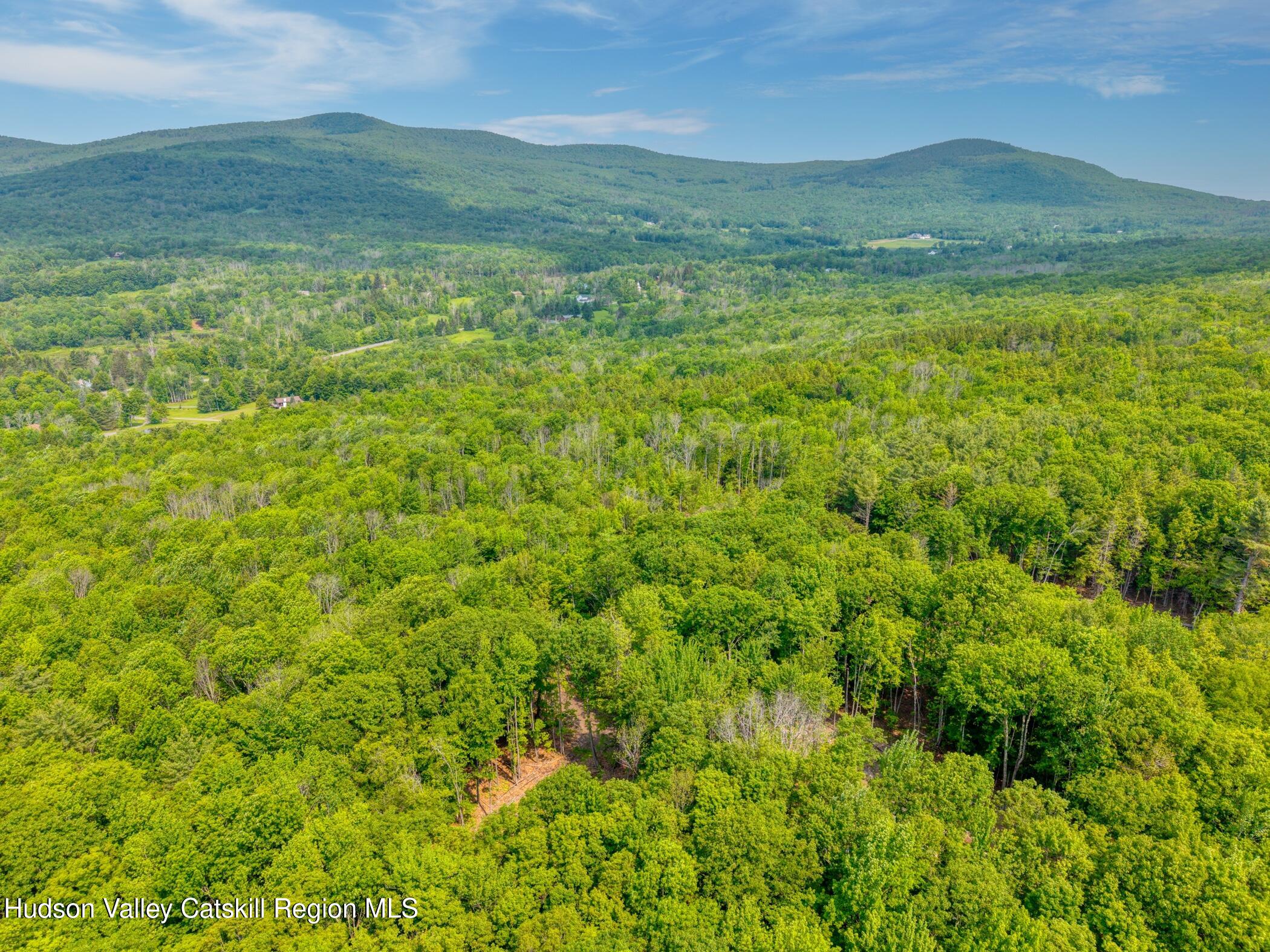 Tbd Boulder Brook Road Windham, NY 12496 - Photo 16 of 44 Image-11