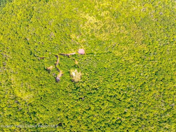 a view of a green field with lots of bushes