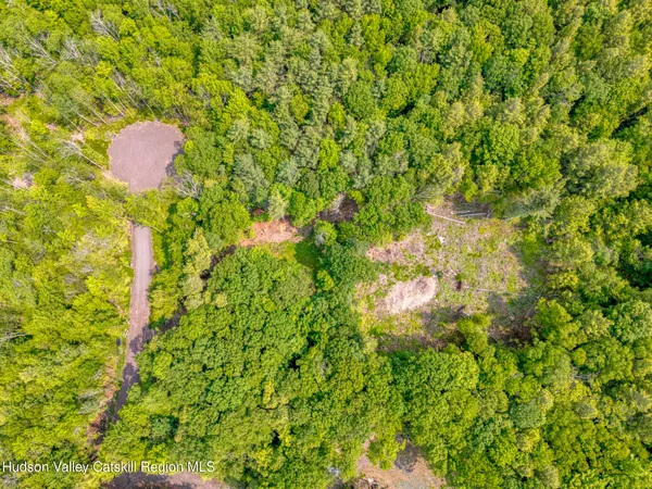 a view of a lush green forest with a mountain