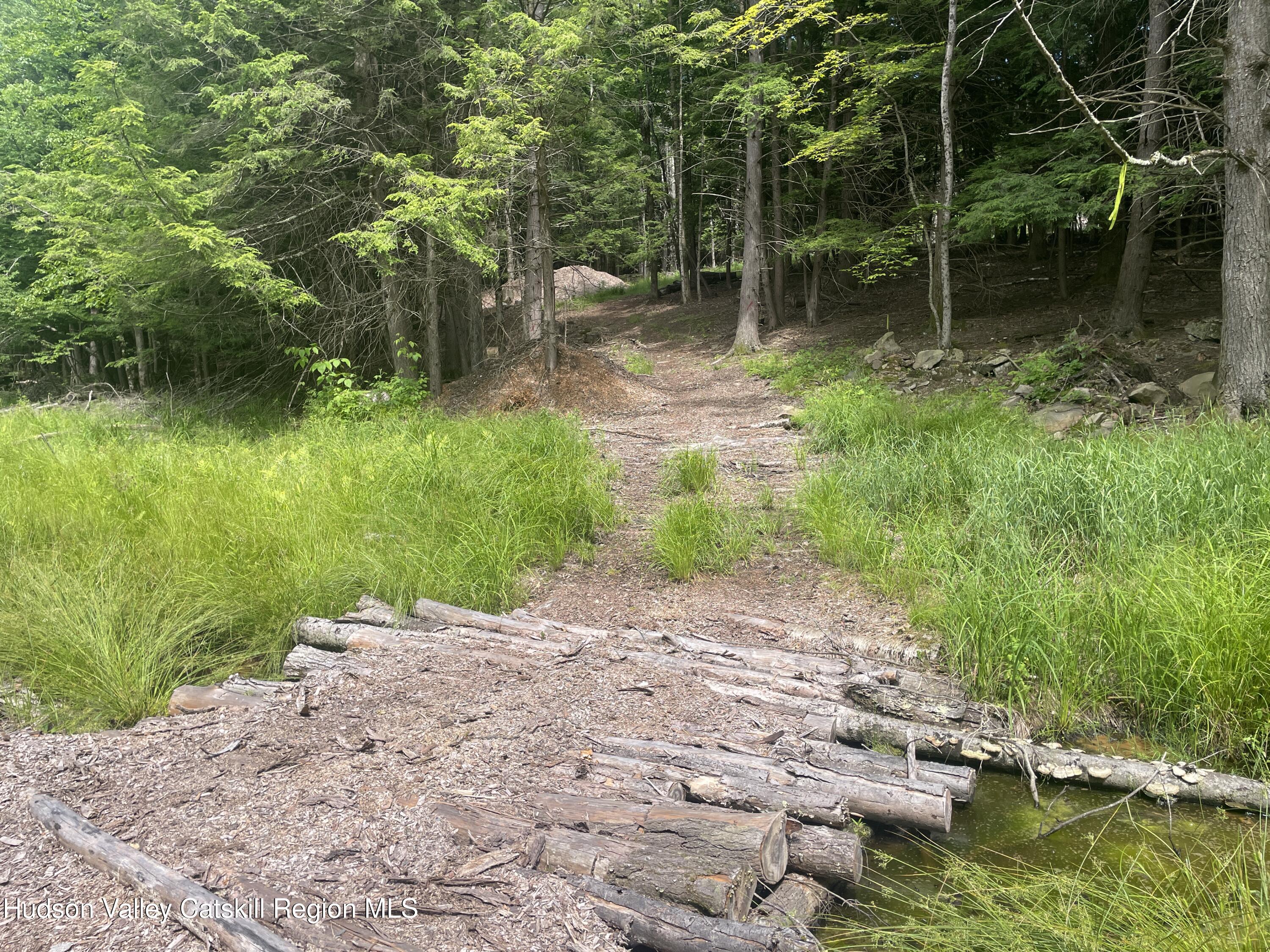 Tbd Boulder Brook Road Windham, NY 12496 - Photo 3 of 44 IMG_0591