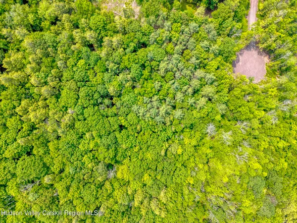 a view of a pathway with a park