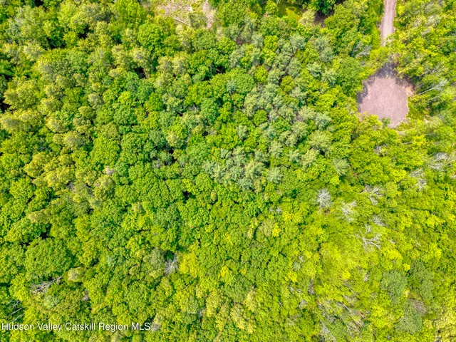 a view of a lush green field