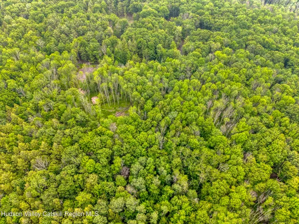 a view of a park with large trees