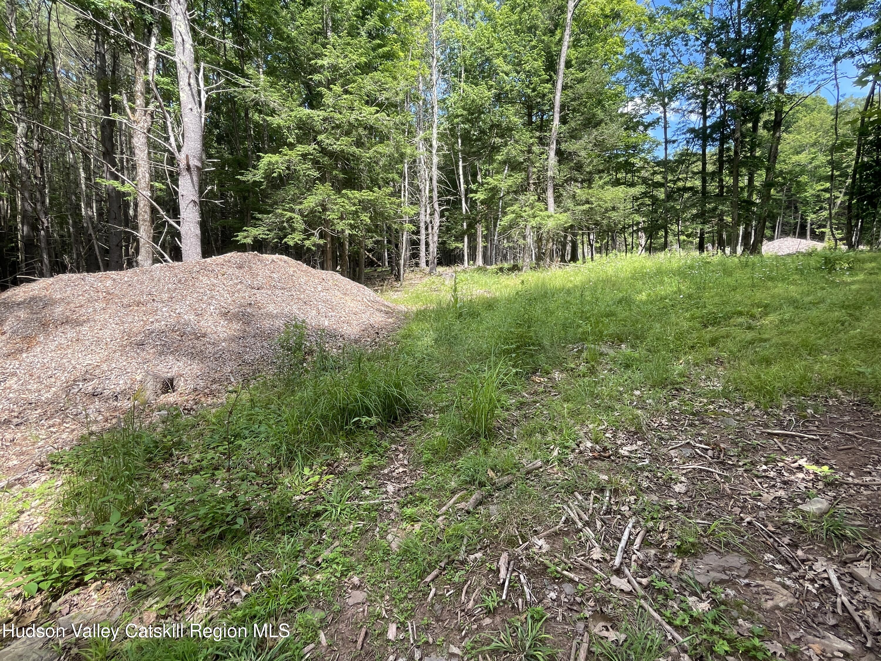 Tbd Boulder Brook Road Windham, NY 12496 - Photo 5 of 44 IMG_0594