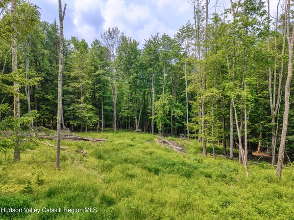 a view of a backyard with a tree