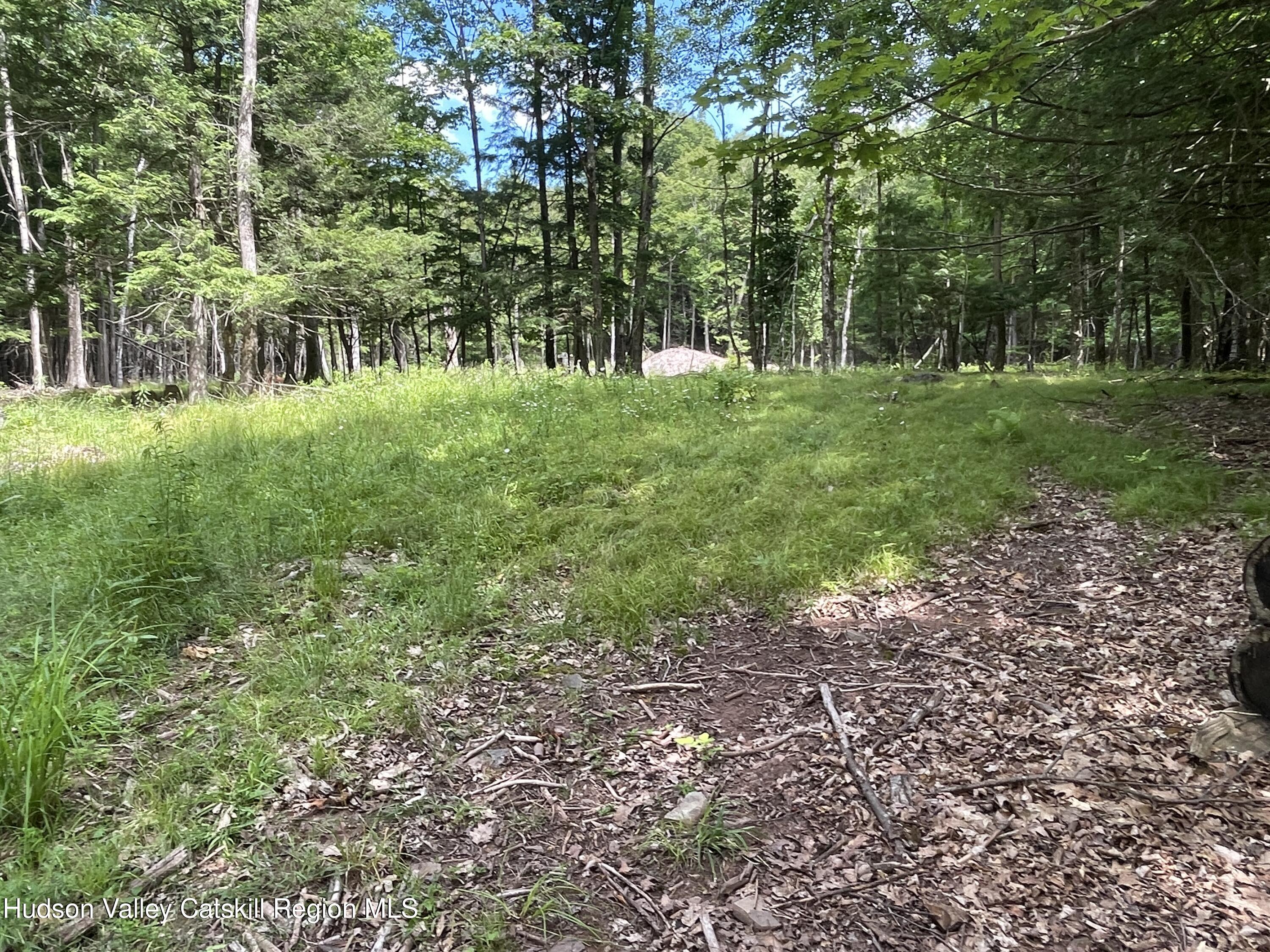 Tbd Boulder Brook Road Windham, NY 12496 - Photo 9 of 44 IMG_0596