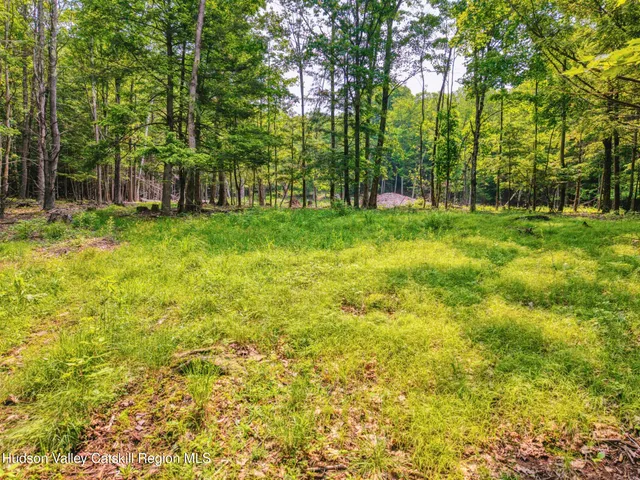 a view of a yard with plants and trees