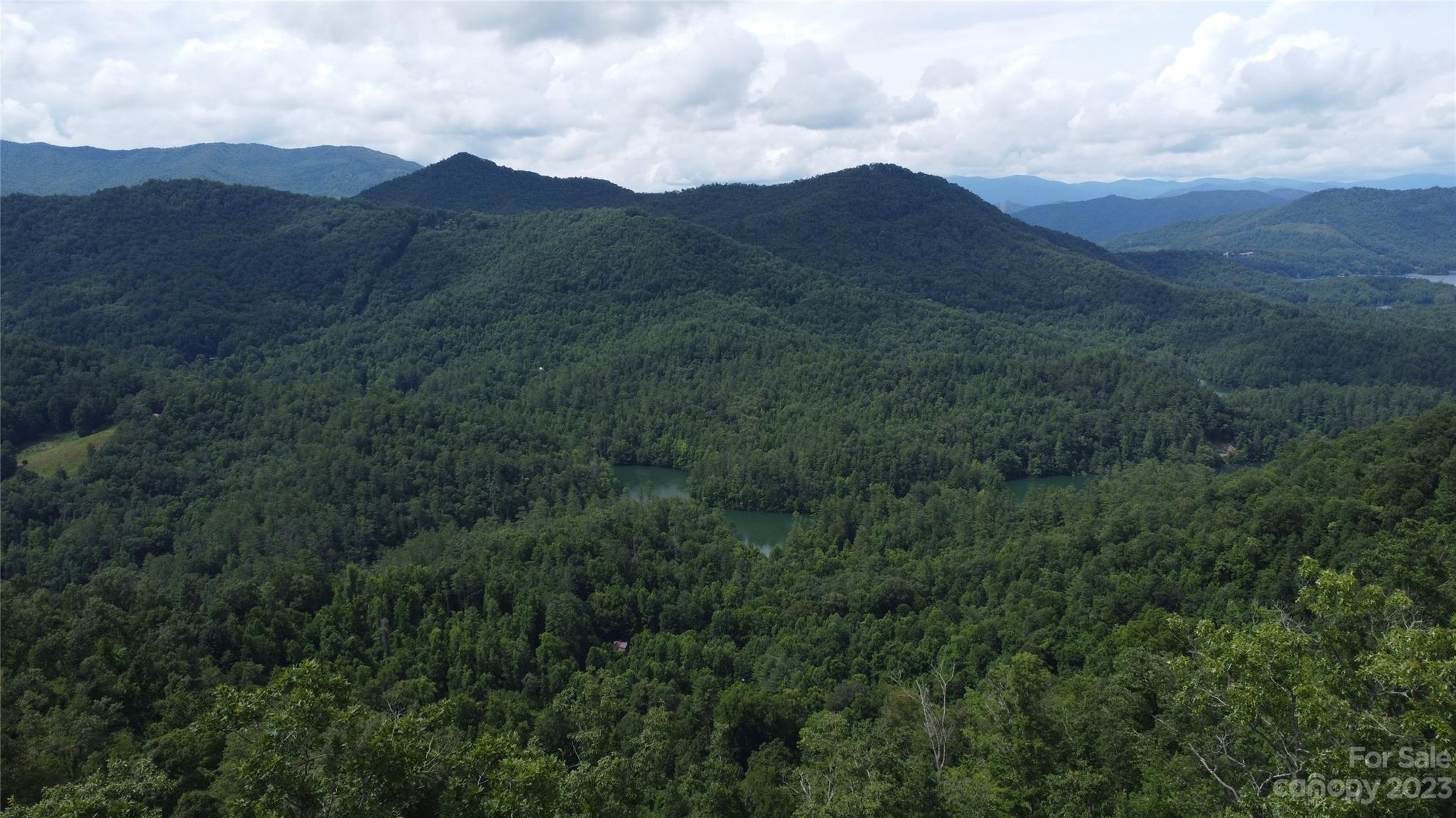 0 West Buffalo Road Robbinsville, NC 28771 - Photo 10 of 24 Gallery Image 10