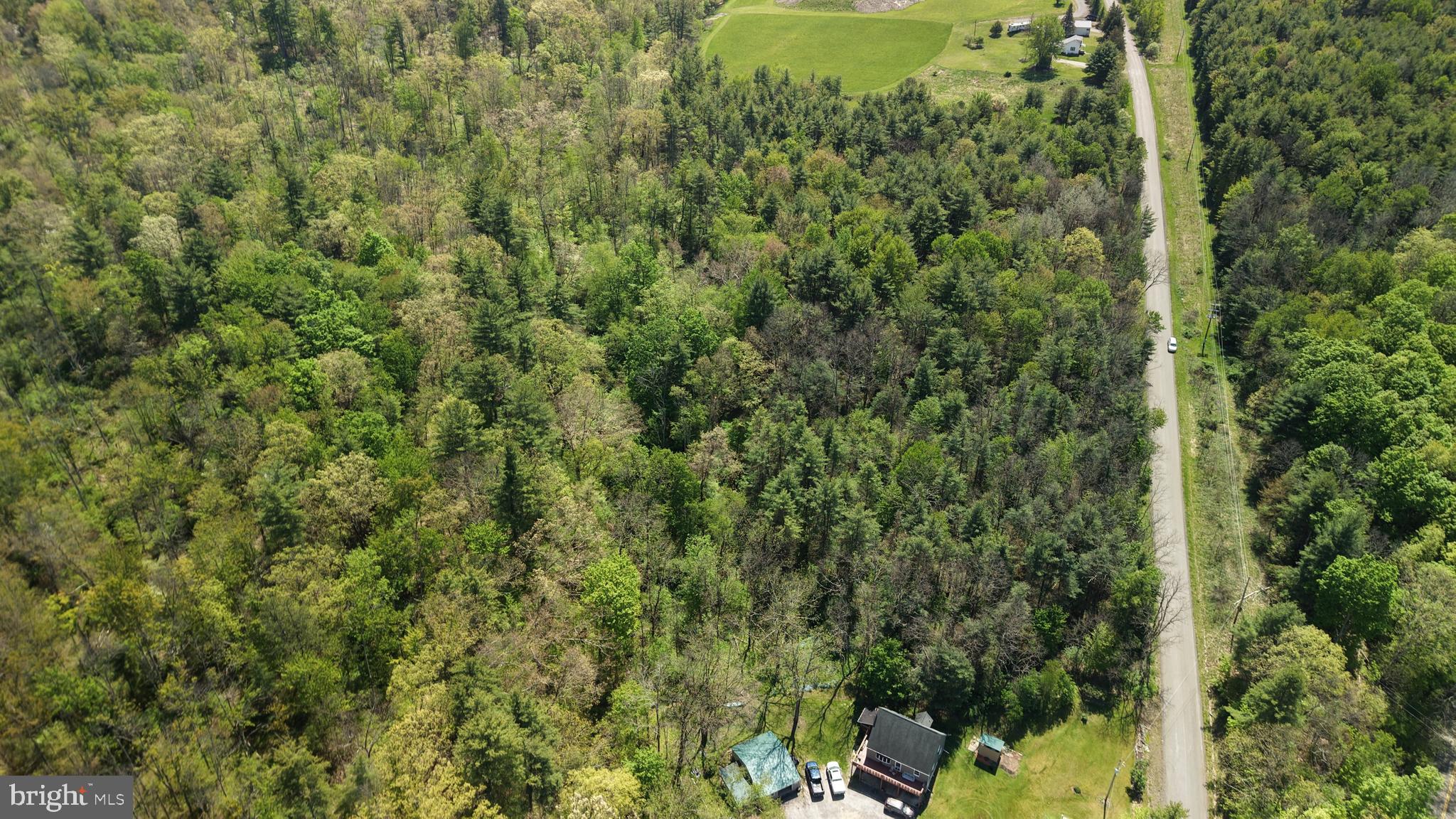 0 Kingsley Hl Road Towanda, PA 18848 - Photo 8 of 16 a view of a forest with a tree